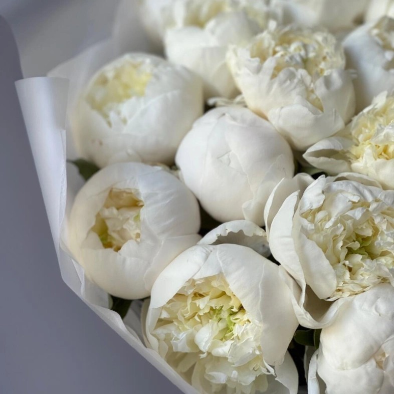 Монобукет белоснежные пионы 23