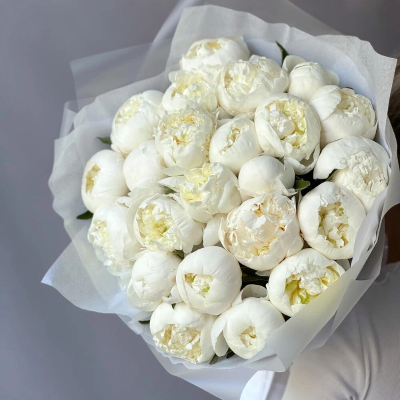 Монобукет белоснежные пионы 23