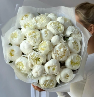 Монобукет белоснежные пионы 23