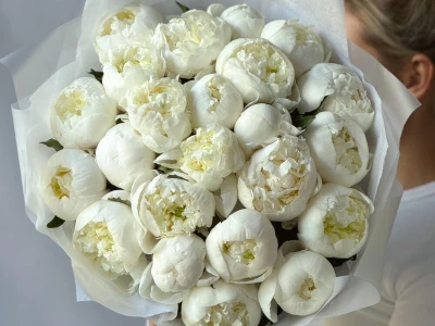 Монобукет белоснежные пионы 23