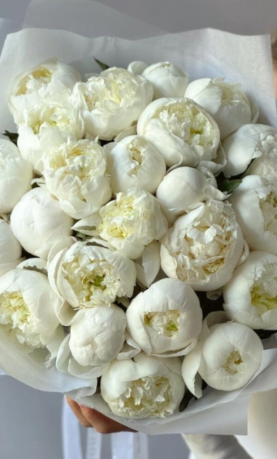 Монобукет белоснежные пионы 23