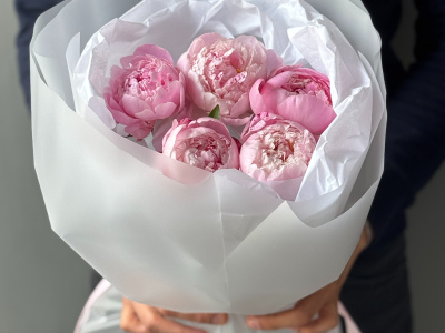 Монобукет пионы Сара Бернар 5