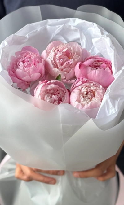 Монобукет пионы Сара Бернар 5