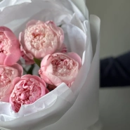 Монобукет пионы Сара Бернар 5 4