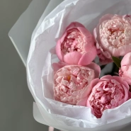 Монобукет пионы Сара Бернар 5 3