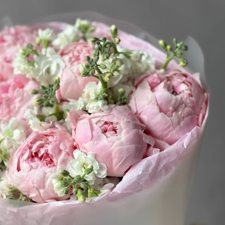 Пионы Сара и маттиола 