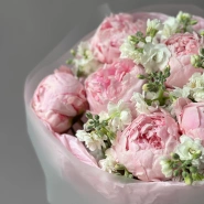 Пионы Сара и маттиола  3