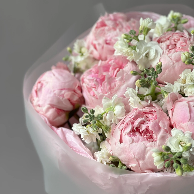 Пионы Сара и маттиола 