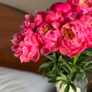 Пионы Coral Charm 9 🔥 4