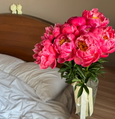 Пионы Coral Charm 9 🔥