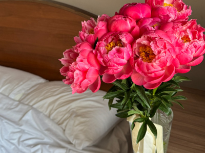 Пионы Coral Charm 9 🔥