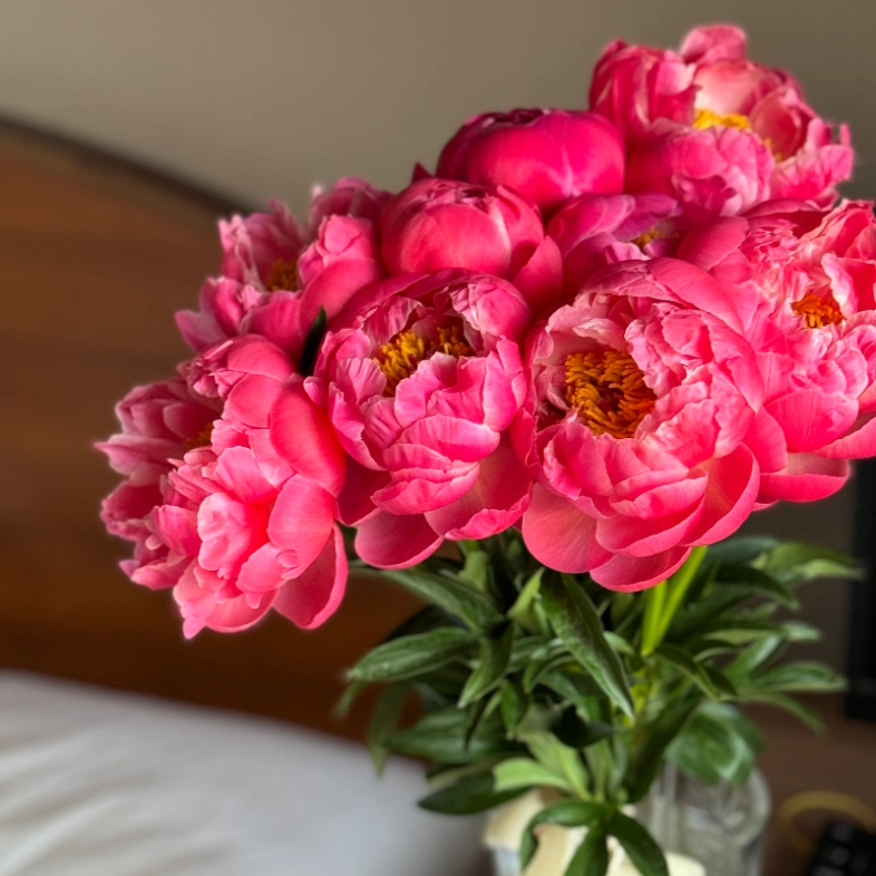 Пионы Coral Charm 9 🔥