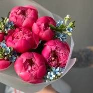 Пионы Корал Шарм 7 и оксипеталлум 4