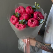 Пионы Корал Шарм 7 и оксипеталлум 1