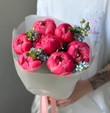 Пионы Корал Шарм 7 и оксипеталлум