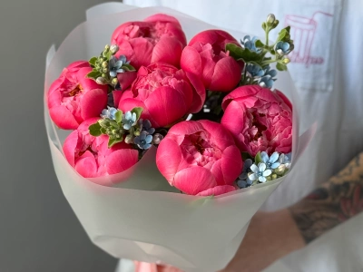 Пионы Корал Шарм 7 и оксипеталлум