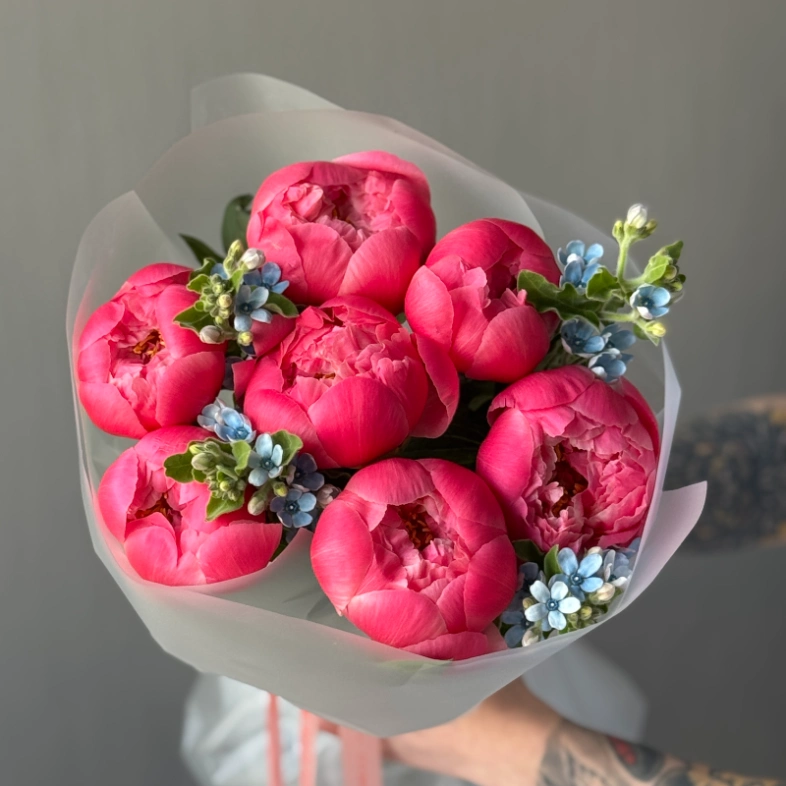 Пионы Корал Шарм 7 и оксипеталлум