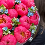 Букет «Rosenrot» / 15 пион Coral Charm-незабудка 3