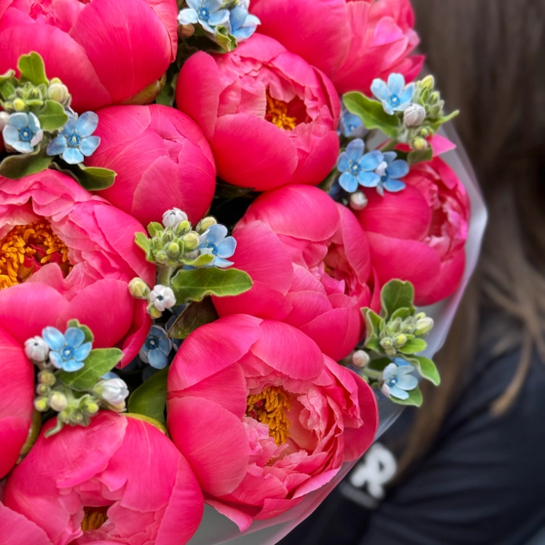 Букет «Rosenrot» / 15 пион Coral Charm-незабудка