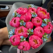 Букет «Rosenrot» / 15 пион Coral Charm-незабудка 1