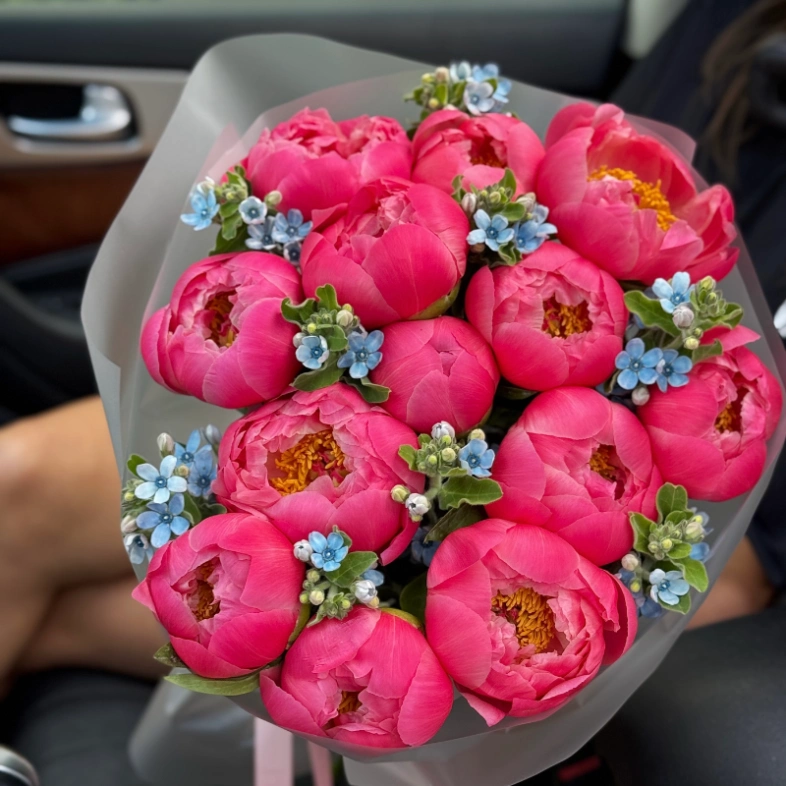 Букет «Rosenrot» / 15 пион Coral Charm-незабудка