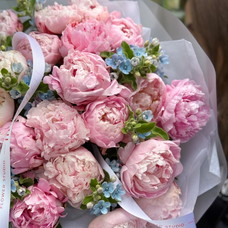 WOW букет из пионов Сара Бернар и незабудок