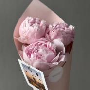 Пионы Sarah Beranrd 3 2