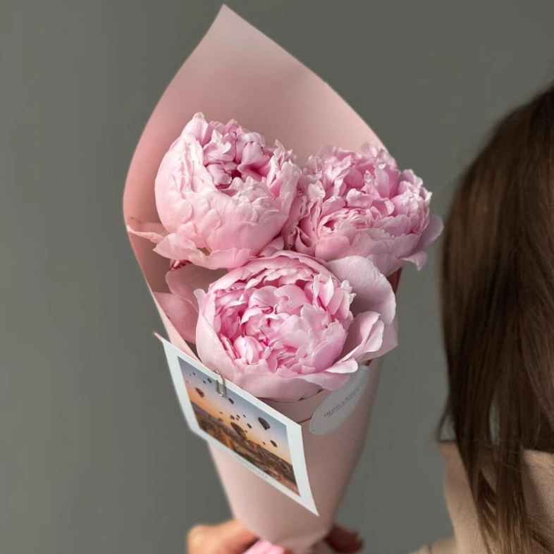 Пионы Sarah Beranrd 3