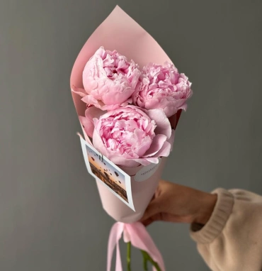 Пионы Sarah Beranrd 3