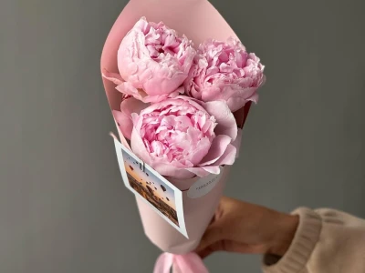 Пионы Sarah Beranrd 3