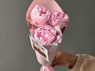 Пионы Sarah Beranrd 3