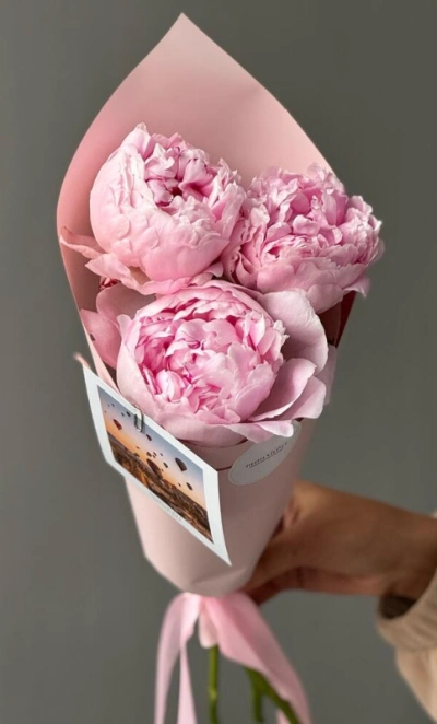 Пионы Sarah Beranrd 3