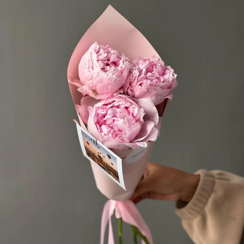 Пионы Sarah Beranrd 3