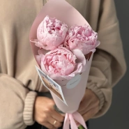 Пионы Sarah Beranrd 3 3