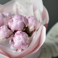 Букет с 5 пионами Сара Бернар в нежной упаковке 4