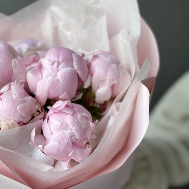 Букет с 5 пионами Сара Бернар в нежной упаковке