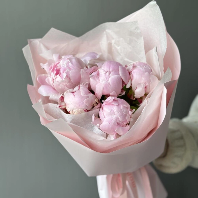 Букет с 5 пионами Сара Бернар в нежной упаковке