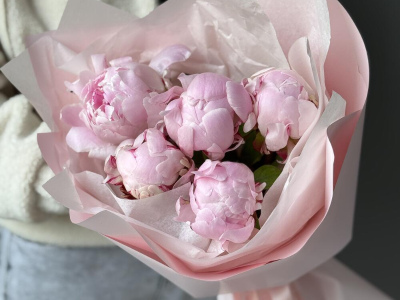 Букет с 5 пионами Сара Бернар в нежной упаковке