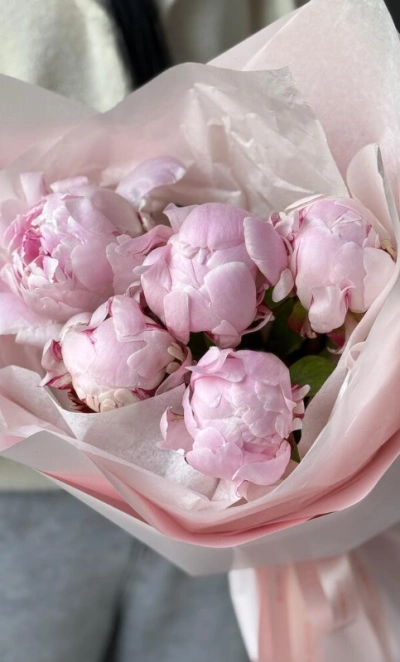 Букет с 5 пионами Сара Бернар в нежной упаковке