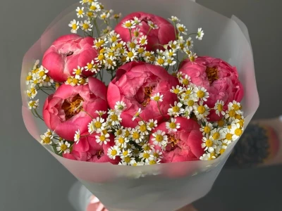 Букет «Пинацетум» / 7 пионы Coral Charm-ромашка