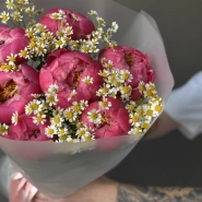 Букет «Пинацетум» / 7 пионы Coral Charm-ромашка 4