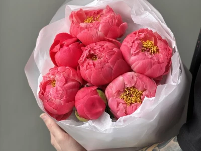 Букет «Пиономания» / пионы 7 Coral Charm
