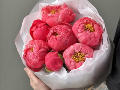 Букет «Пиономания» / пионы 7 Coral Charm