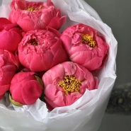 Букет «Пиономания» / пионы 7 Coral Charm 4