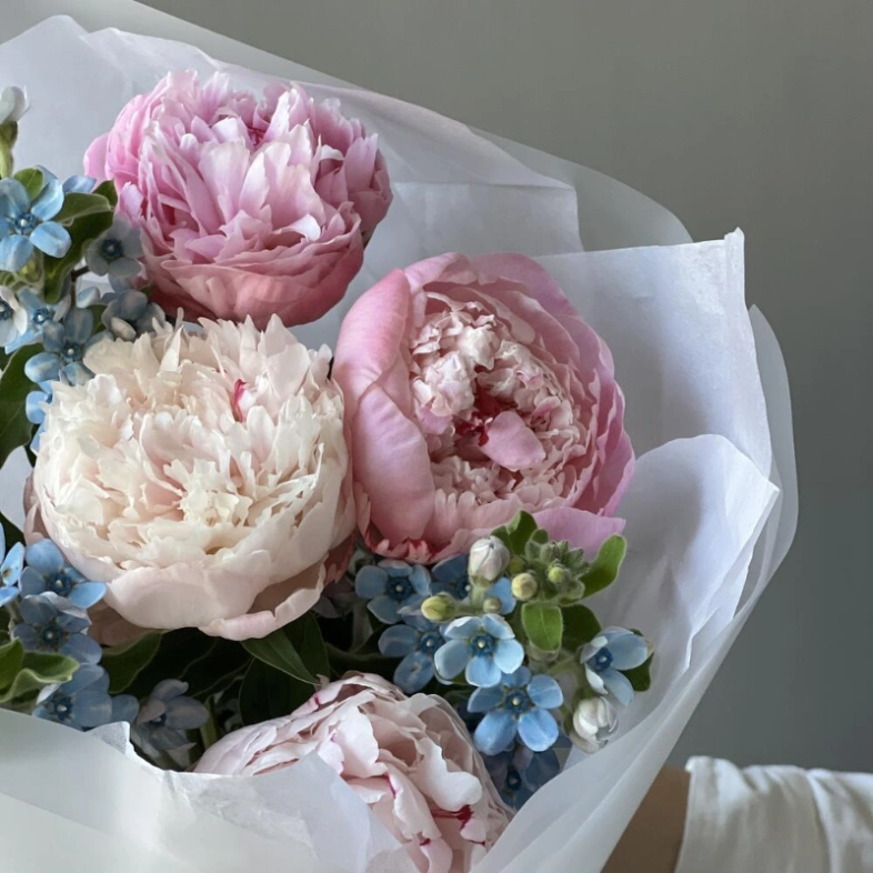 Букет «Blueberry» / 5 пион Sarah Bernard-оксипеталум