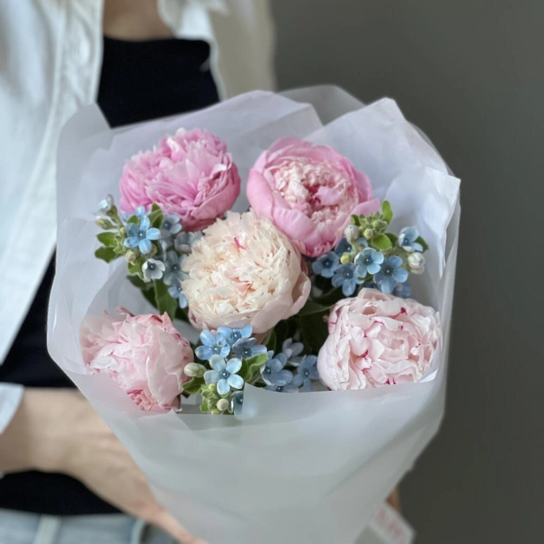 Букет «Blueberry» / 5 пион Sarah Bernard-оксипеталум