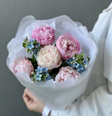 Букет «Blueberry» / 5 пион Sarah Bernard-оксипеталум