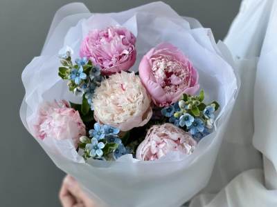 Букет «Blueberry» / 5 пион Sarah Bernard-оксипеталум