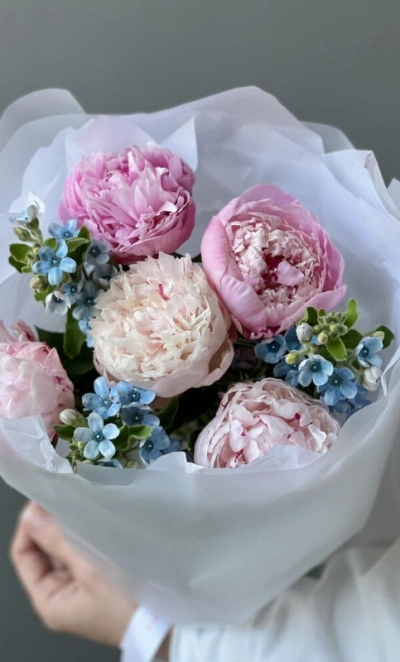 Букет «Blueberry» / 5 пион Sarah Bernard-оксипеталум