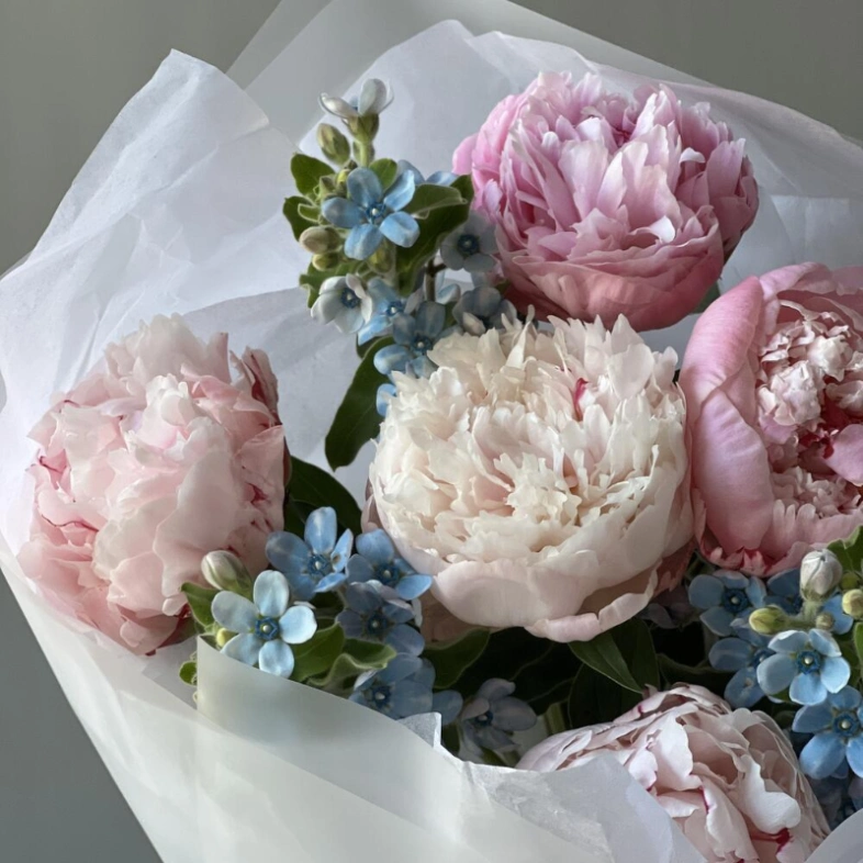 Букет «Blueberry» / 5 пион Sarah Bernard-оксипеталум